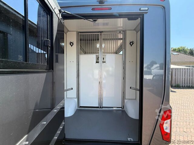 Horse transportation Renault Master STX S3 Paardenwagen Hengsten uitvoering ...