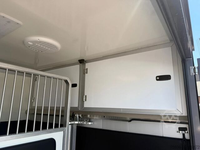 Horse transportation Renault Master STX S3 Paardenwagen Hengsten uitvoering ...