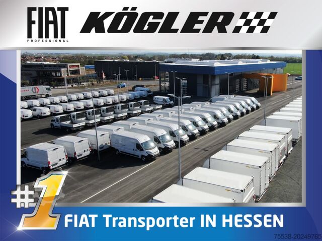 Panel van Fiat Ducato