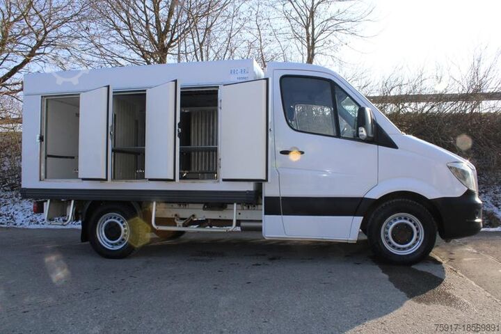 Refrigerator body van MERCEDES-BENZ 310cdi ColdCar -33°C, 3+3 Euro 5