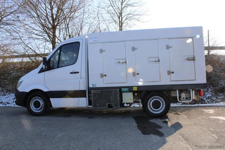 Refrigerator body van MERCEDES-BENZ 310cdi ColdCar -33°C, 3+3 Euro 5