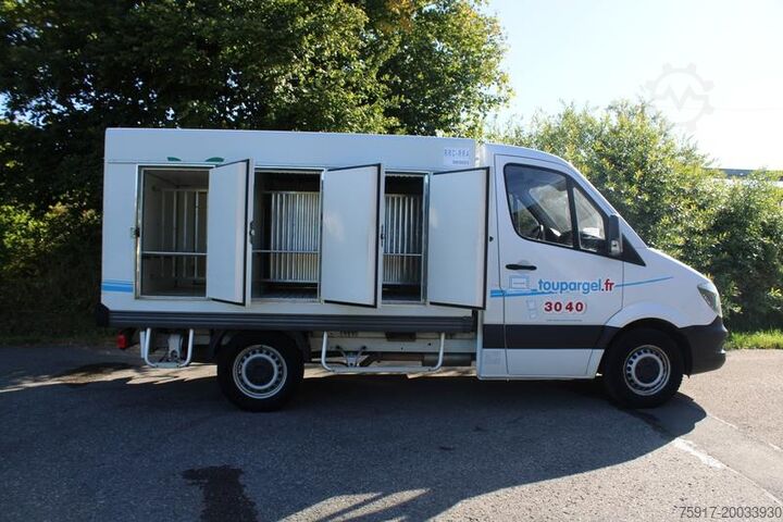 Refrigerator body van MERCEDES-BENZ Sprinter 310 ColdCar 3+3 Türen -33°C