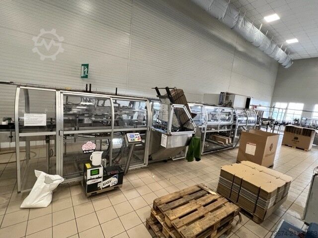 Wrap-Around Kartonpacker Baumer Wrap Around Packer