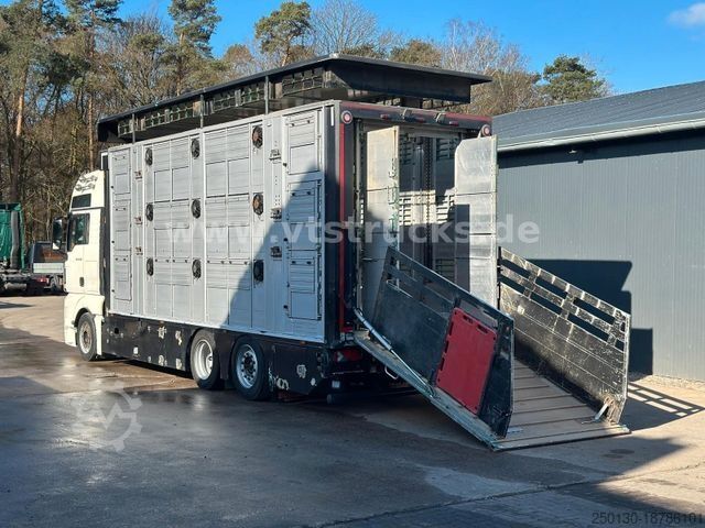 Cattle truck MAN TGX 26.500 6x2 3.Stock FINKL Viehtransporter
