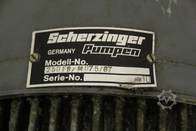 Pumpe Scherzinger 250 FB/M075/GT