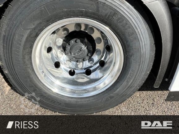 Standard SZM DAF XG 530 FT Alcoa Leder Vollluft Standklima