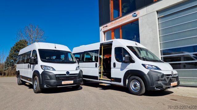 Kleinbus FIAT 1x Ducato 1x  Opel Movano 18 SS  in Stock