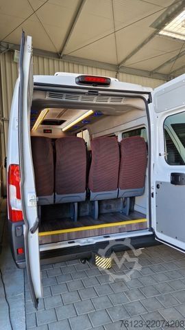 Kleinbus FIAT 1x Ducato 1x  Opel Movano 18 SS  in Stock