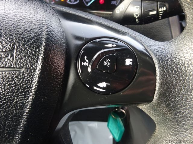 Panel van FORD Transit Connect Kasten lang Trend 100PS Navi AHK