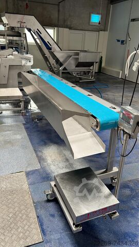 Baader 176 Flatfish Filleting Line Baader 176