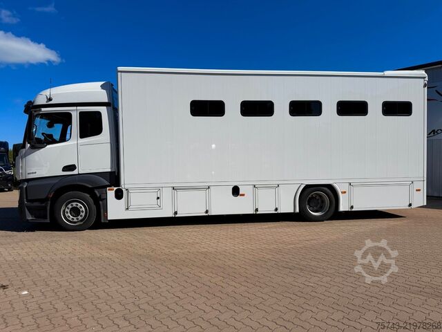 Cattle truck MERCEDES-BENZ ACTROS 1832  TT-XL  7 Pferde 6 Sitze Neufahrzeug