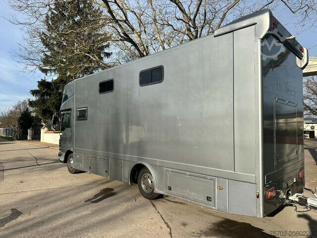 Livestock transporter MAN TGL 8150 3-4 Pferde Wohnmobilzulassung