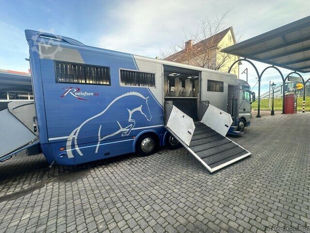Viehtransporter LKW MAN TGX 26400 Roelofsen 12 Pferde