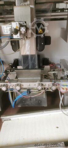 Multihead weigher with vertical form fill seal machine Multi Weigh, Delta Pack MKW: HDW10 3,5 Schlauchbeutel: DE420 FU