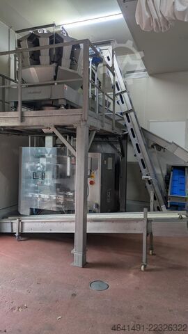 Multihead weigher with vertical form fill seal machine Multi Weigh, Delta Pack MKW: HDW10 3,5 Schlauchbeutel: DE420 FU