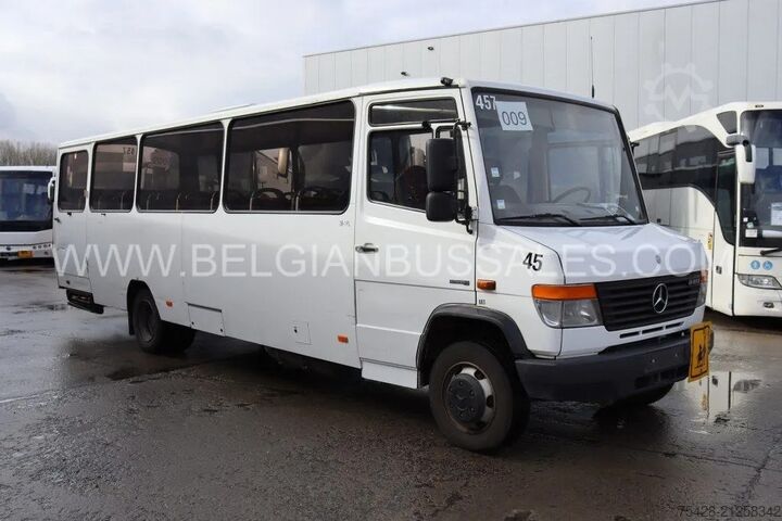 Kleinbus Mercedes-Benz Vario O813 / Lift / Euro 5 /