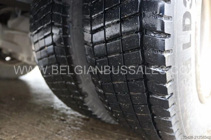 Kleinbus Mercedes-Benz Vario O813 / Lift / Euro 5 /