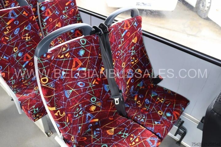 Kleinbus Mercedes-Benz Vario O813 / Lift / Euro 5 /