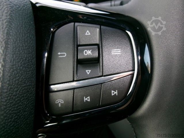 Kleinbus FORD Tourneo Custom Bus Titanium B&O LHZ AHK Kam