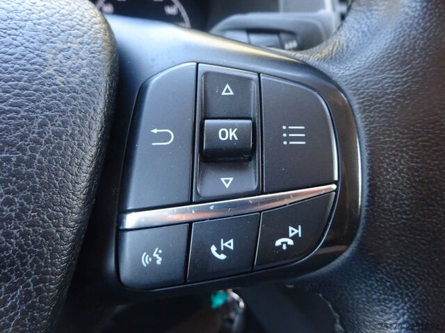 Panel van FORD Transit Custom Kasten 300 L2 Trend E6