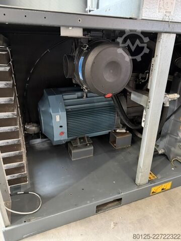 Schraubenkompressor Atlas Copco GA 55 (+)
