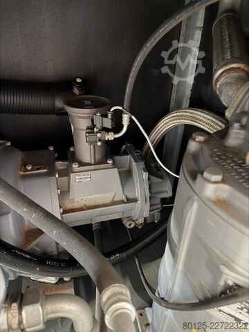 Schraubenkompressor Atlas Copco GA 55 (+)