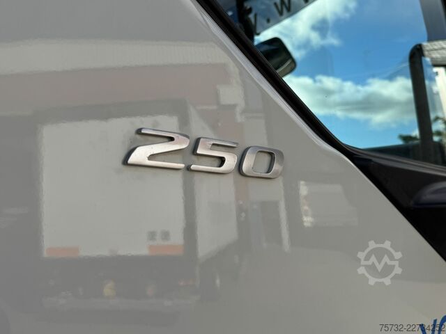 Kühlkoffer-LKW Daf LF 250 E6  Carrier Supra Strom Tür + LBW Kamera