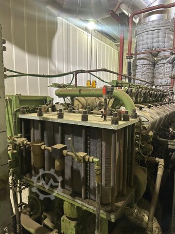 Oil-fat cogeneration unit ABC 16VDZC-1000