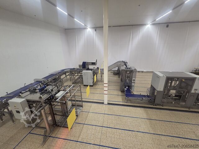 Niverplast automatische Verpackungslinie Niverplast automatische verpakkings lijn