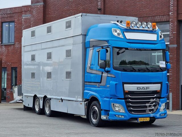 Cattle transport DAF XF 510 6x2 SuperSpaceCab - Livestock Cuppers 3 ...