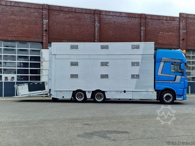 Cattle transport DAF XF 510 6x2 SuperSpaceCab - Livestock Cuppers 3 ...