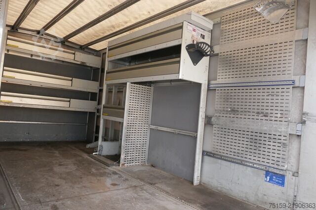 Curtain sider van iveco Daily 70C18H D70C DoKa LBW AHK Klima Tempomat Regaleinbauten COC Standheizung