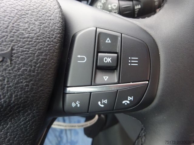 Kleinbus FORD Transit 350L3H2 TRAIL Kombi 4x4 AHK Stndhzg Navi