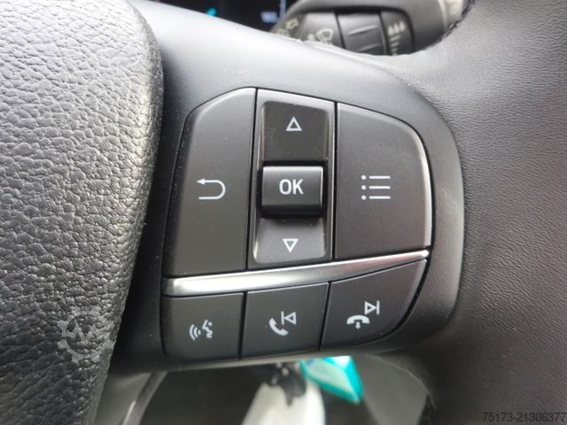 Kleinbus FORD Transit 350L3H2 Trend KMP WiPa Klima DAB Rampe