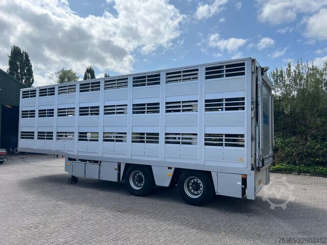 Viehtransport Berdex TO 180 S Berdex Veewagen Livestock Weeglift
