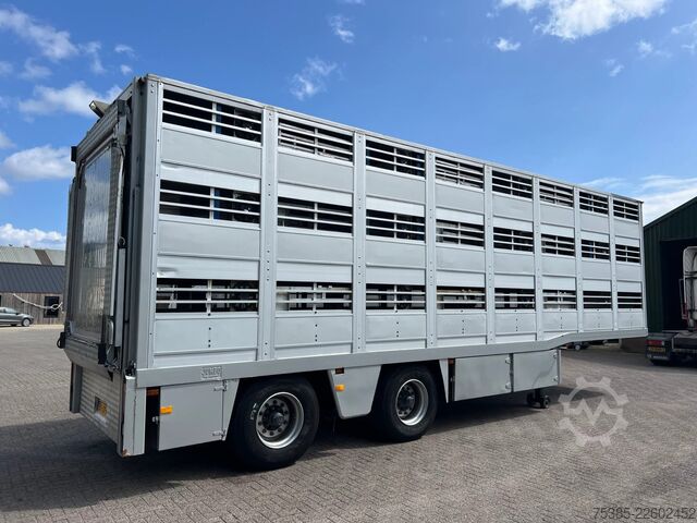 Viehtransport Berdex TO 180 S Berdex Veewagen Livestock Weeglift