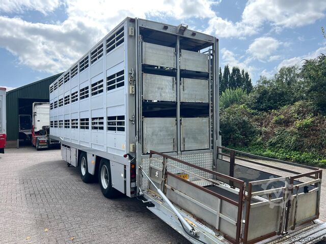 Viehtransport Berdex TO 180 S Berdex Veewagen Livestock Weeglift