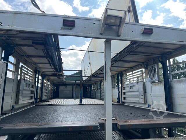 Viehtransport Berdex TO 180 S Berdex Veewagen Livestock Weeglift