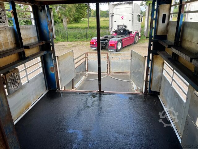 Viehtransport Berdex TO 180 S Berdex Veewagen Livestock Weeglift