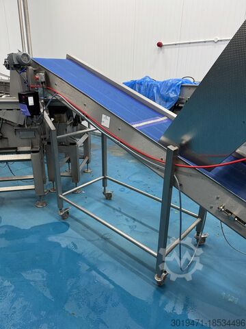 Salatqualitätsbewertung + Waschlinie Lynnmore + Raytec Salad grading, washing, drying line