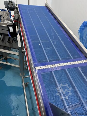 Salatqualitätsbewertung + Waschlinie Lynnmore + Raytec Salad grading, washing, drying line