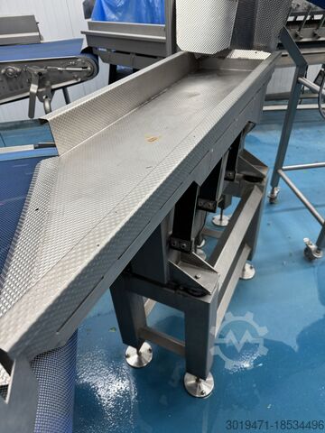 Salatqualitätsbewertung + Waschlinie Lynnmore + Raytec Salad grading, washing, drying line