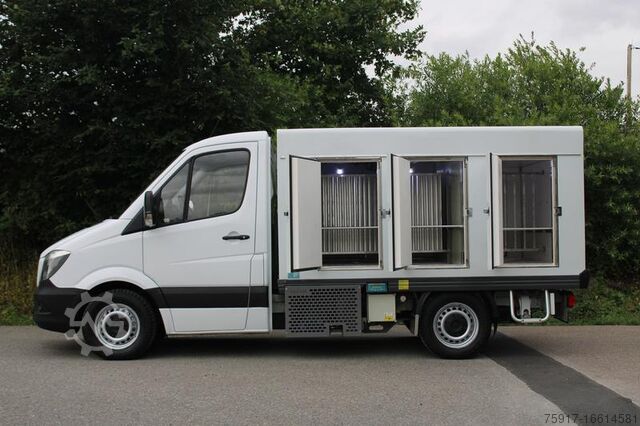 Refrigerator body van MERCEDES-BENZ 310cdi ColdCar -33°C, 3+3 Euro 5