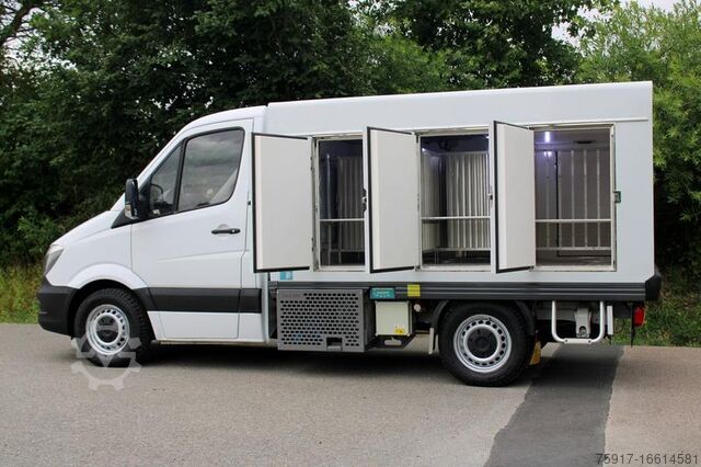 Refrigerator body van MERCEDES-BENZ 310cdi ColdCar -33°C, 3+3 Euro 5