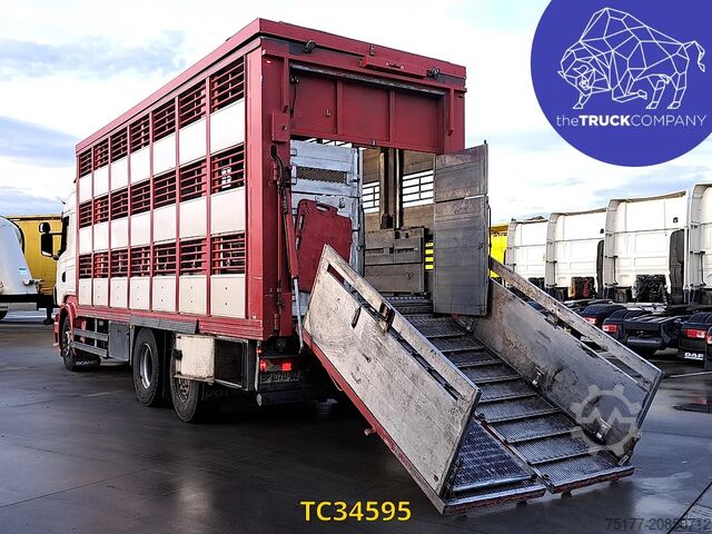 Viehtransport Scania R 500