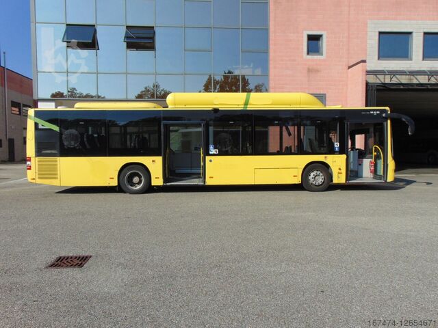 City bus MAN A21