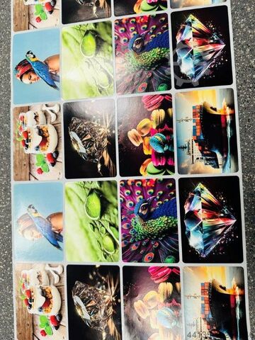 FGT Graphic Machinery - LABELPRESS MARK ANDY XP 5000 / 7+1 FLEXO