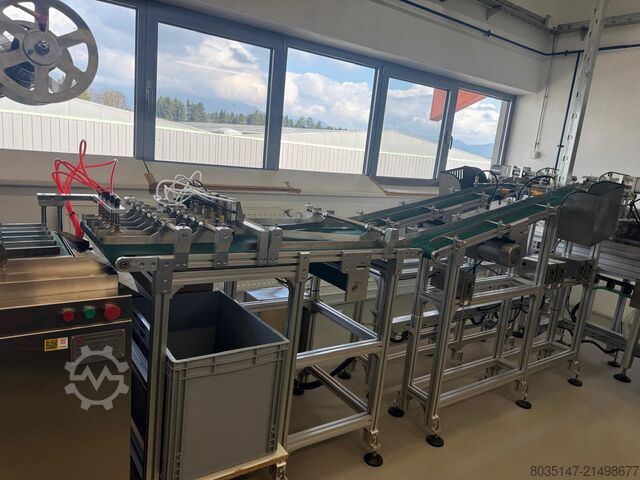 Supplemente-Maschine SINOPED BLISTER PACKING MACHINE DDP 360