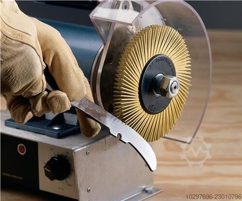Radial brush disc BB-ZB - 1 pc  