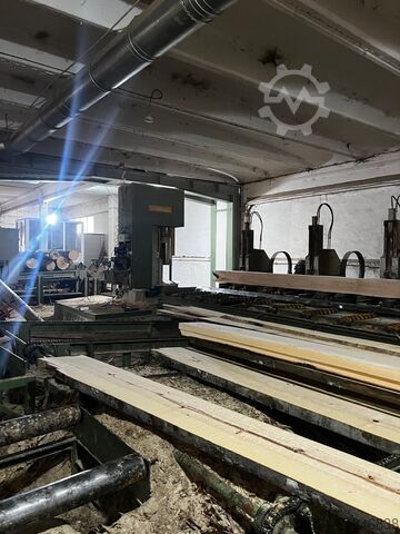 Complete Sawmill ÜSTÜNKARLI Carriage Bandsaw Edger